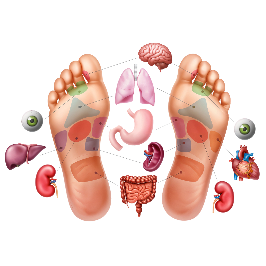 Harlin™  Foot Therapy